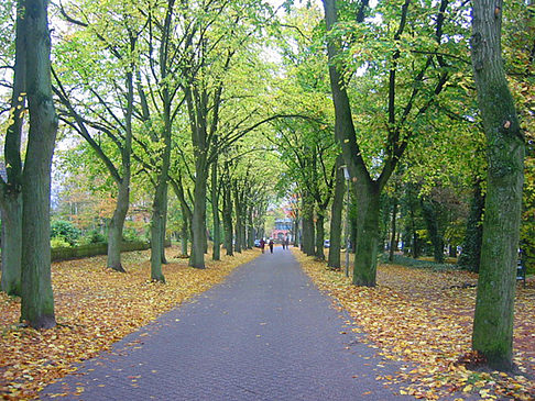 Worpswede Bildansicht von Citysam  von Bremen 